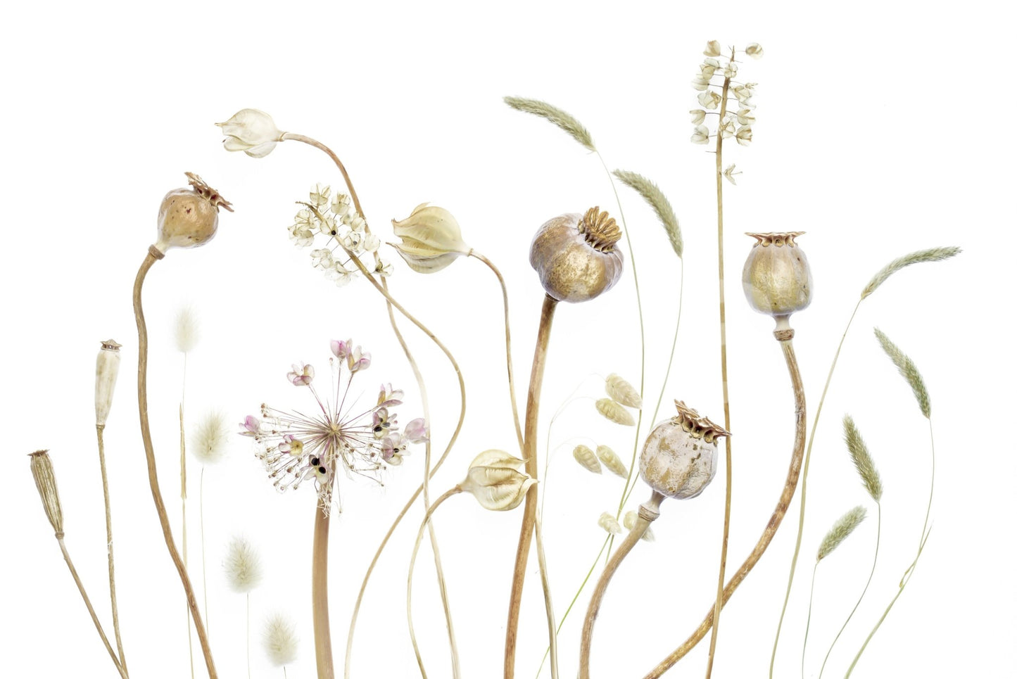 A calming serene field wallpaper mural that defines a space.