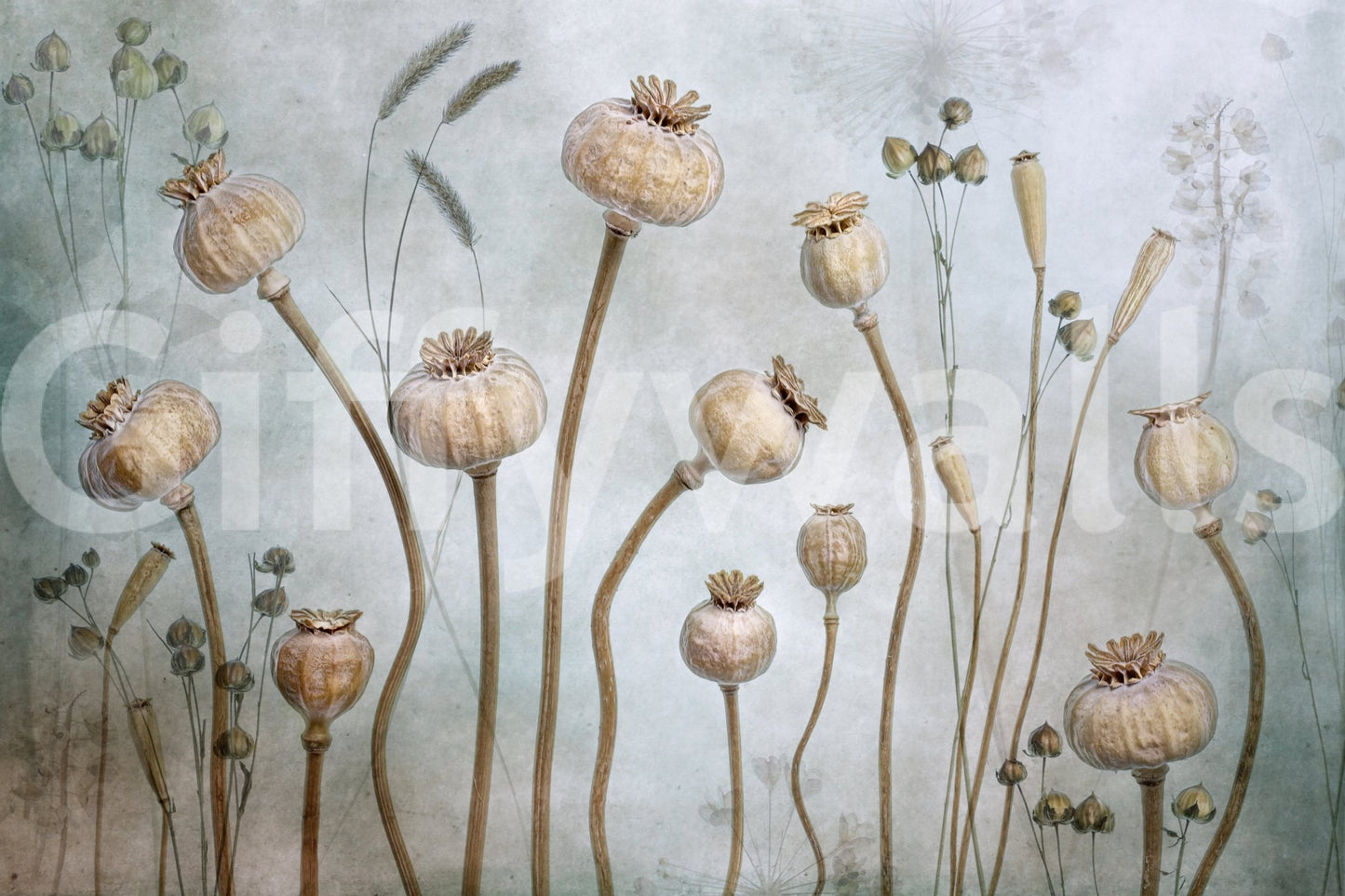 A high-quality serene plant wall mural for walls.