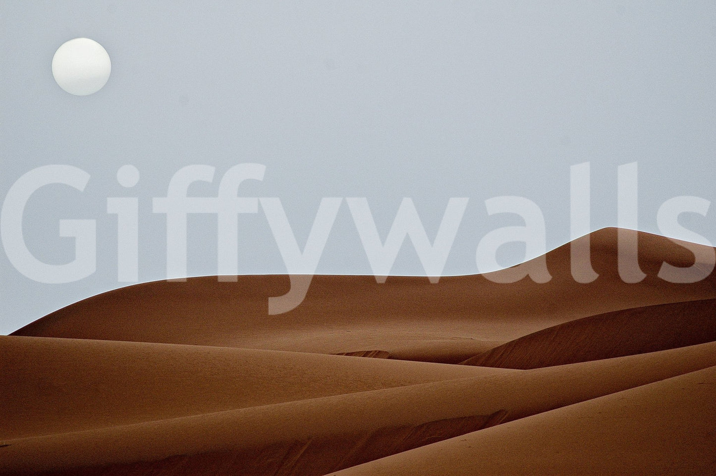 Peaceful natural design of the Dunes Under the Sun Wall Mural.