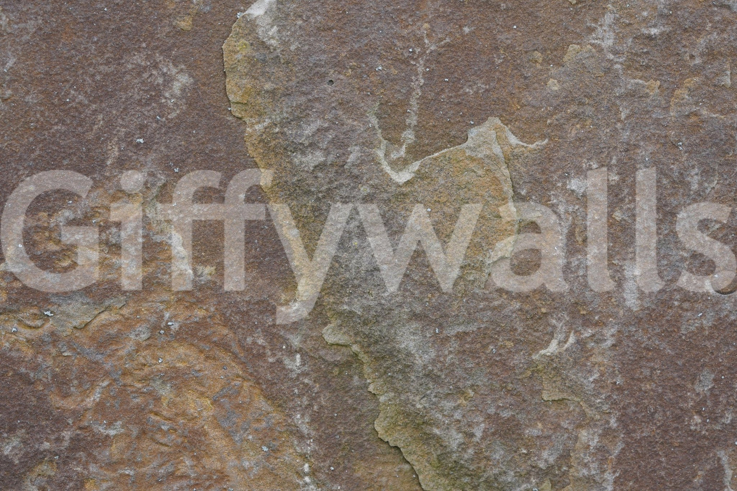 Earth-toned wallpaper mural creating a warm inviting atmosphere, GD6084