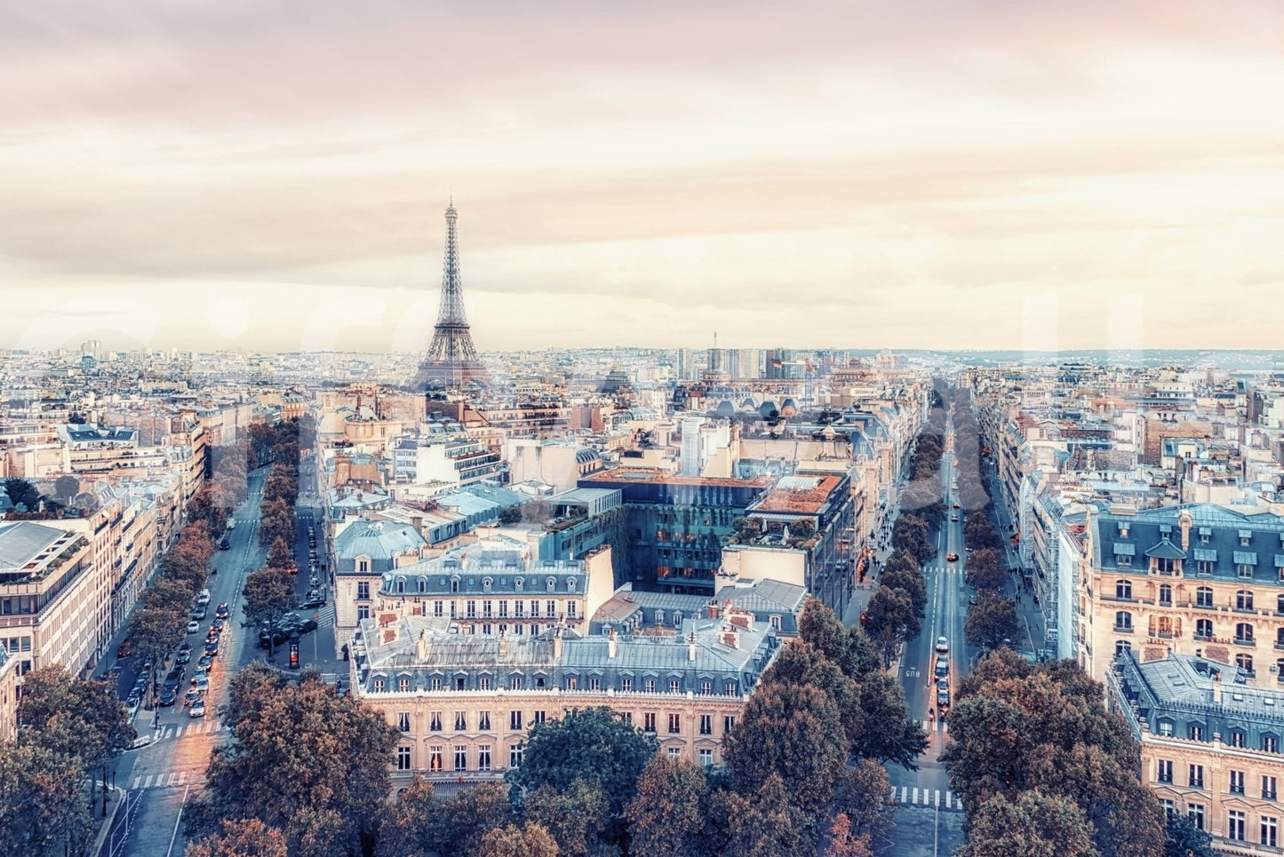 Eiffel Tower View Wall Mural iconic monument view for creative workspaces