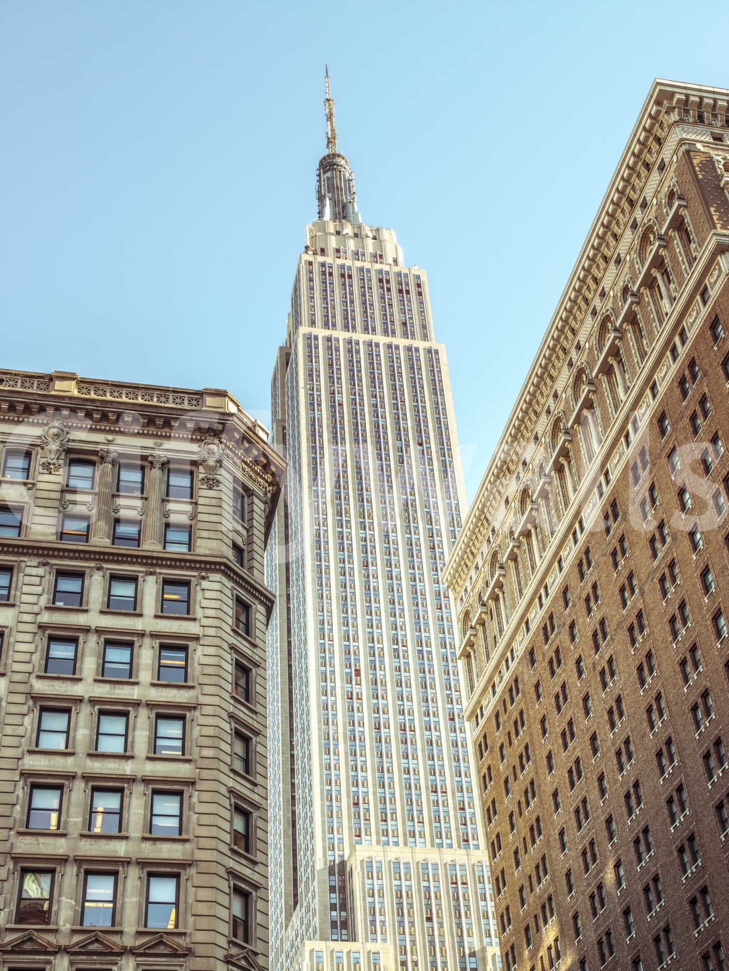 Empire State Rise Wall Mural