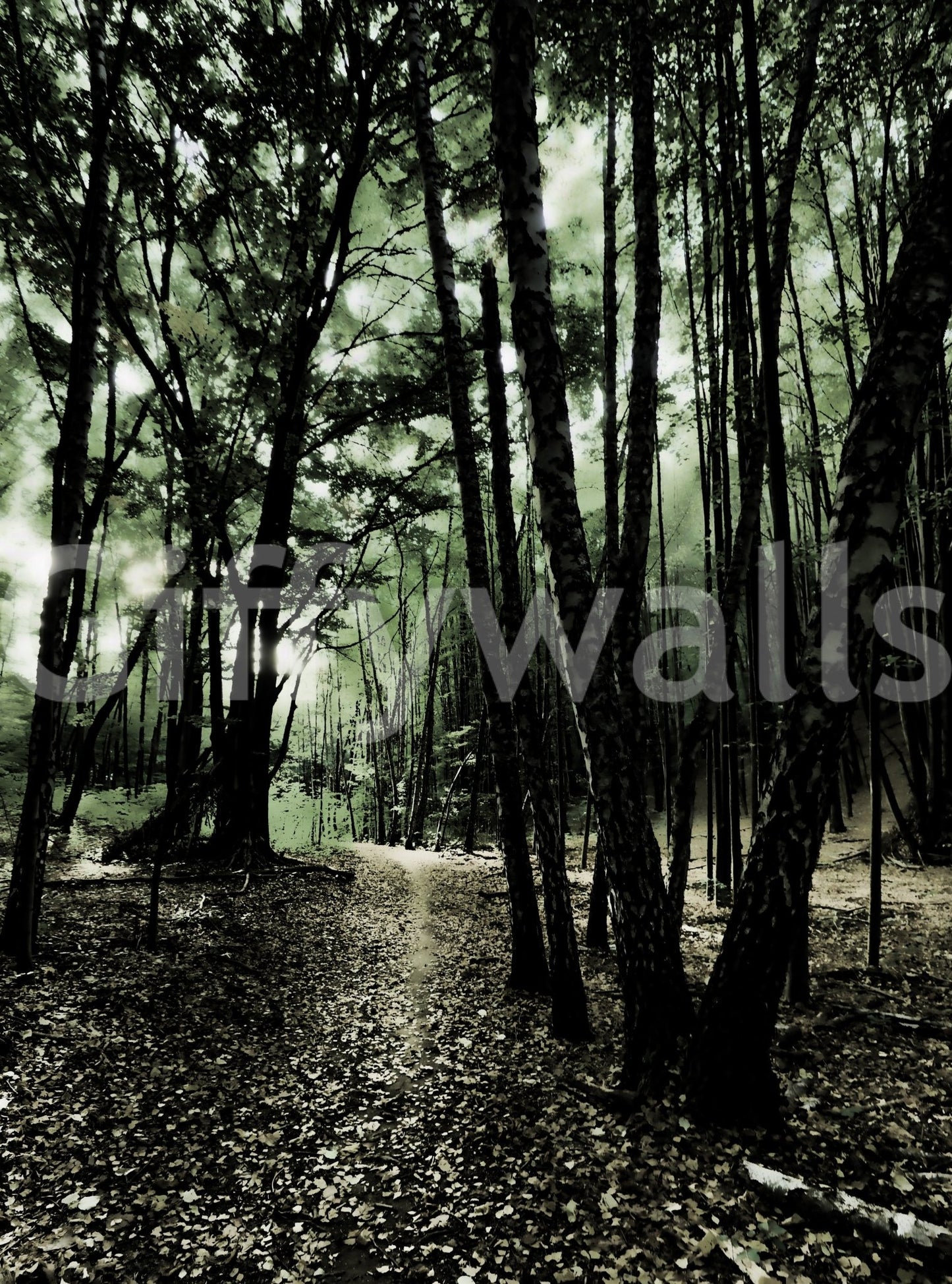 Timeless design that adds mystical charm to your decor