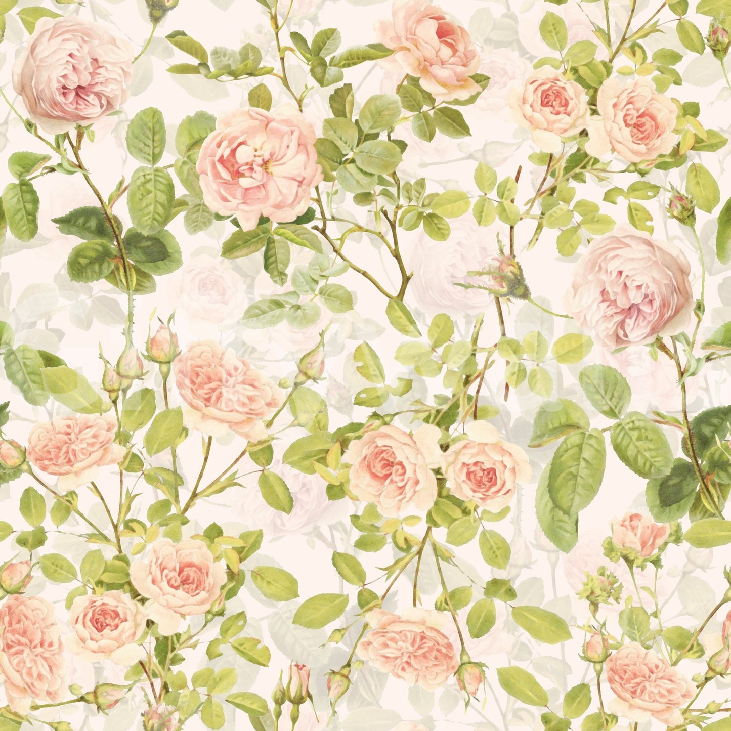English Rose Garden Wallpaper