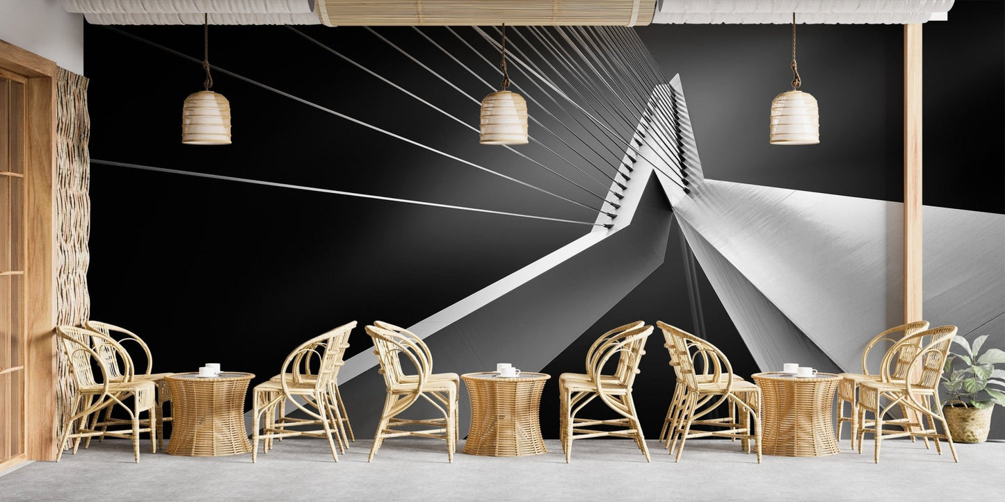 Urban-style Erasmus Bridge wallpaper for modern living rooms., B270