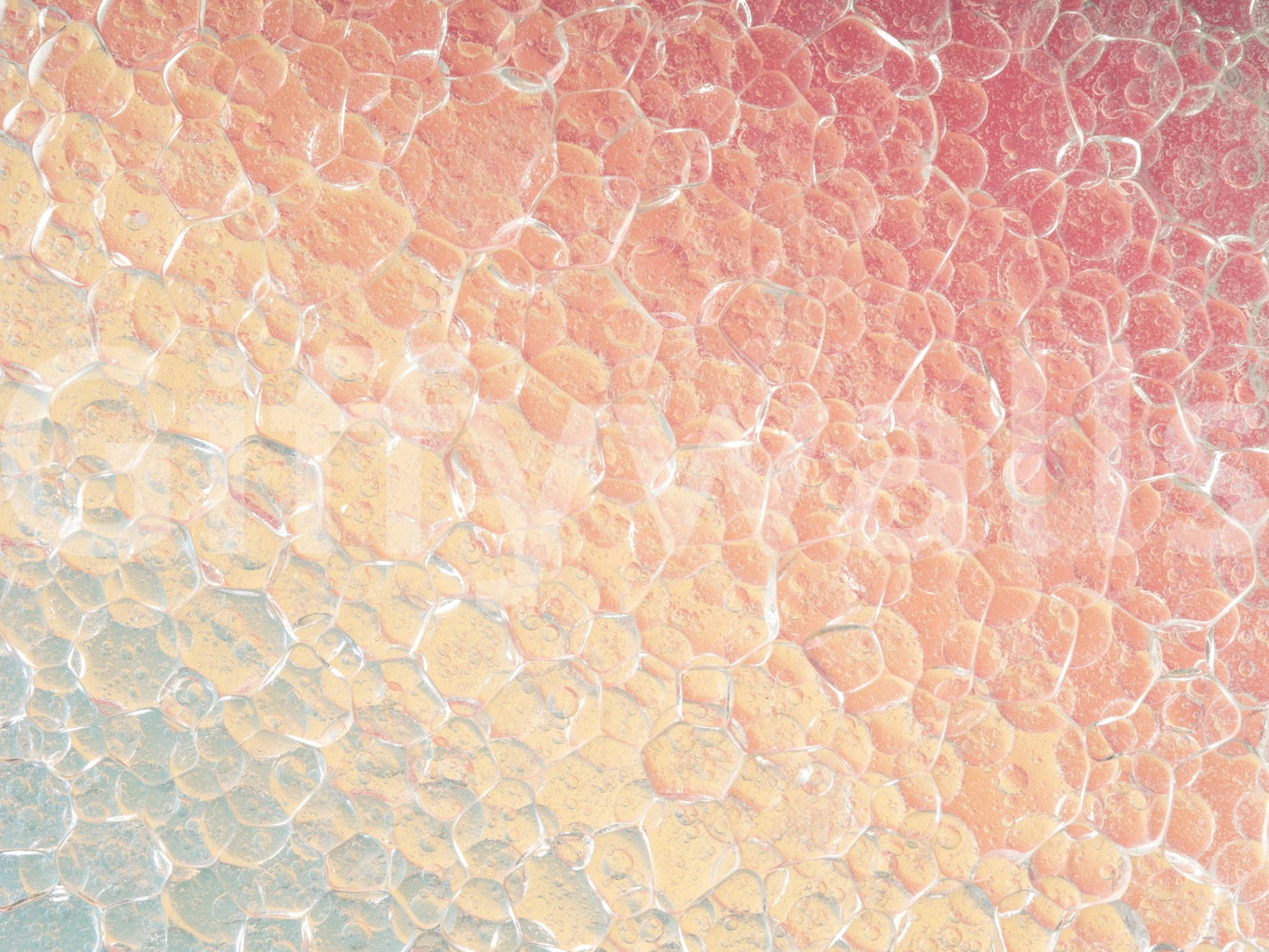 A high-quality minimalist wall mural for walls.