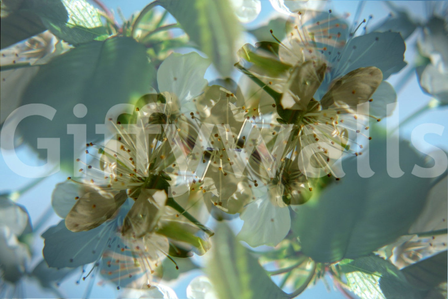 The Ethereal Floral mural gives the space a delicate and artistic touch.