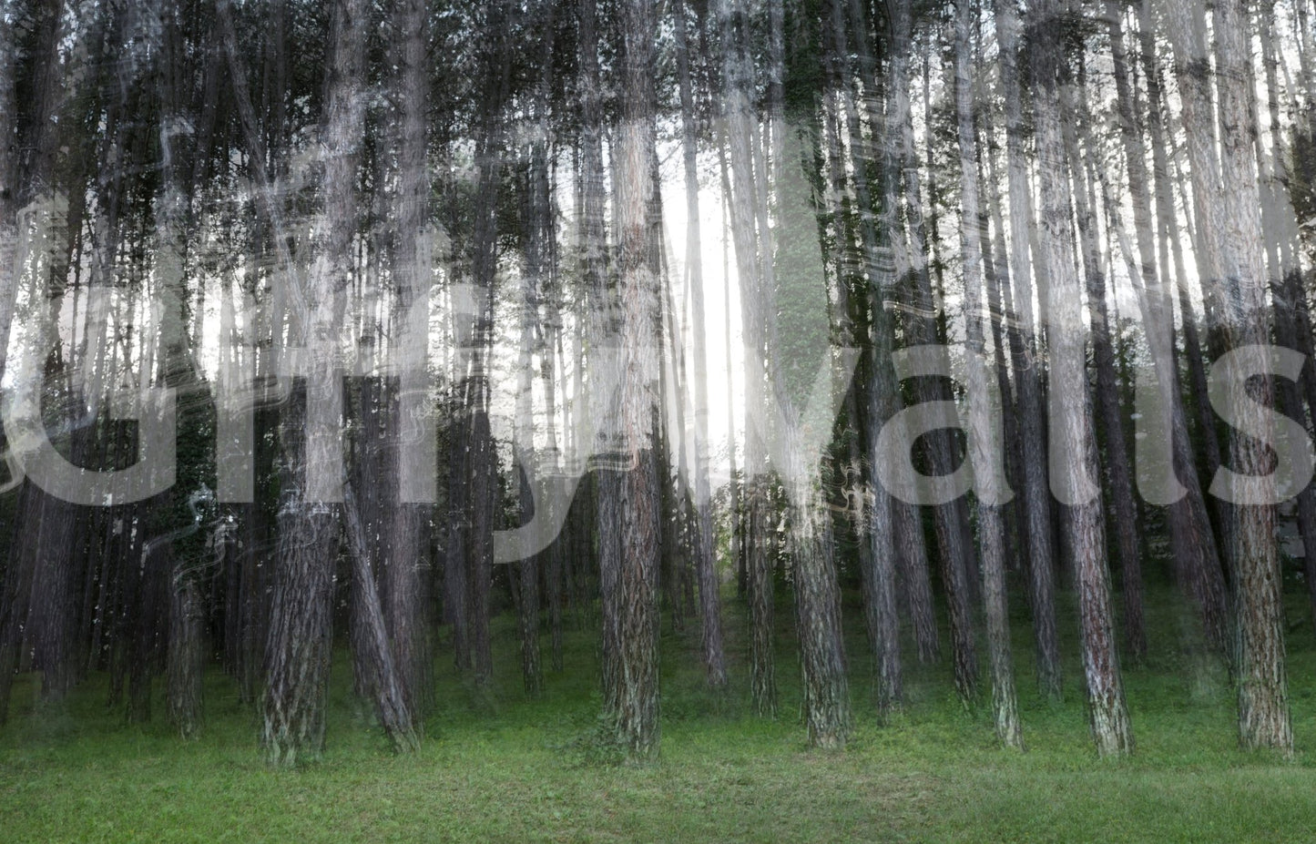 Adds a touch of artistic, calming nature to any space