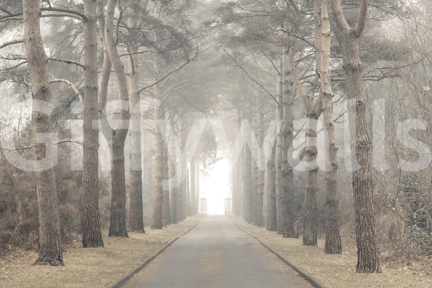 Ethereal Realm Wall Mural