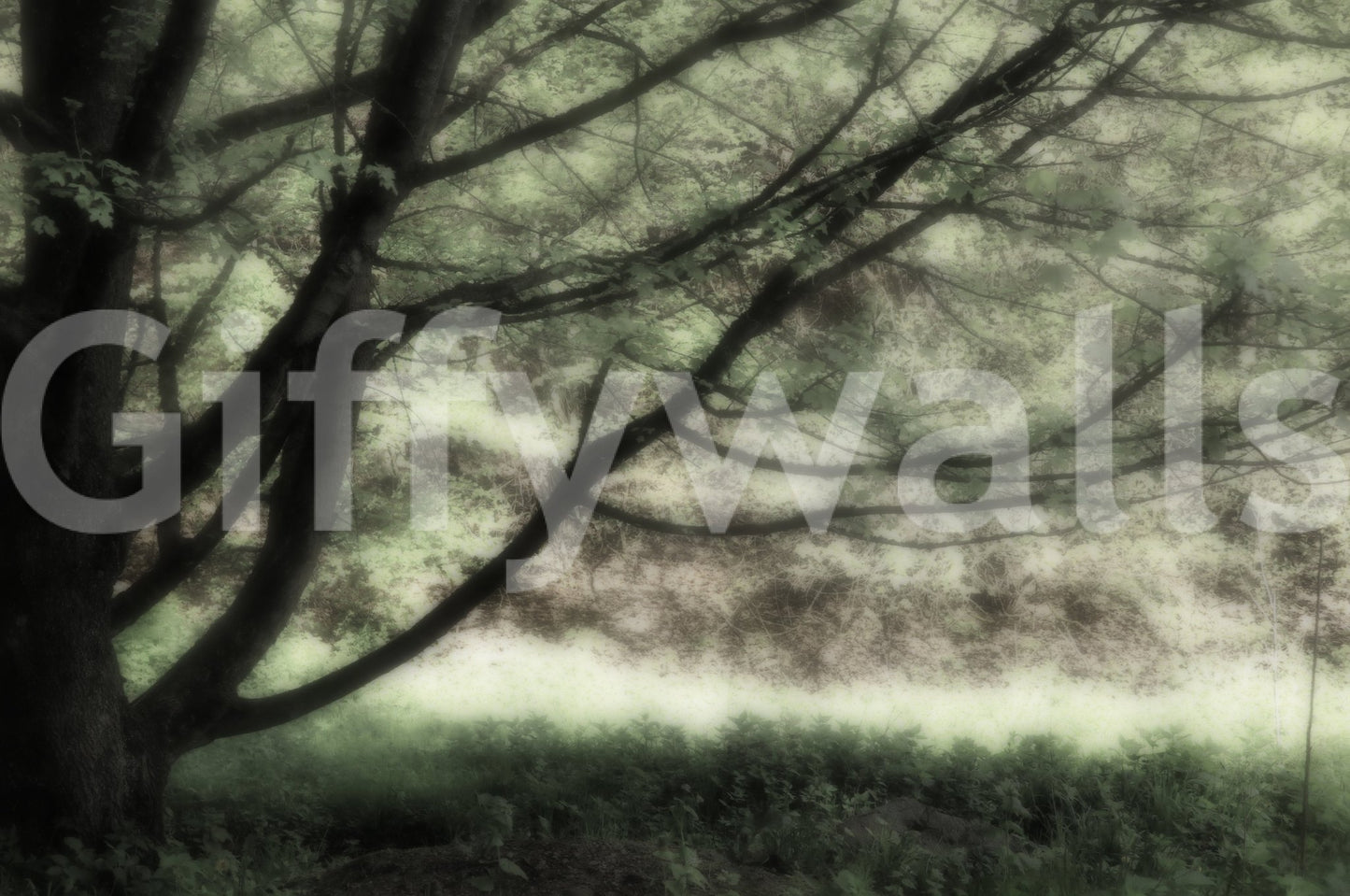 Ethereal Tree Art Print | Serene Nature Photography | Soft Green Landscape Decor Wall Mural