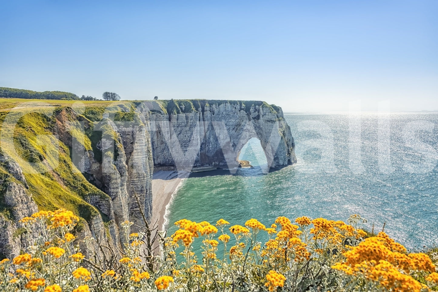 Etretat's Yellow Bloom wall mural with coastal cliffs, sea arch, and bright yellow flowers