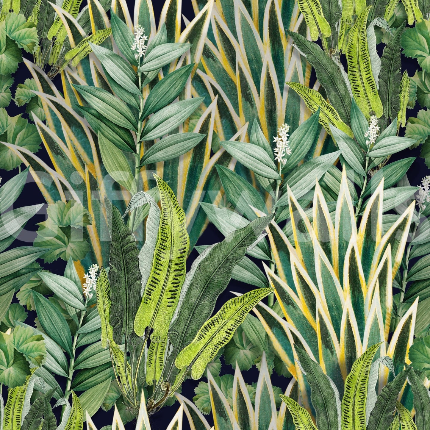 The image provides a sense of a secluded, natural paradise.