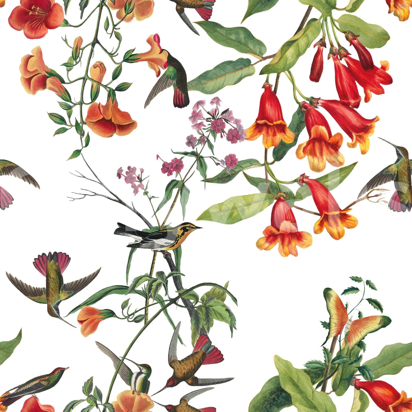 Red flower detailing on Tropical Flowers Wallpaper with perched birds
