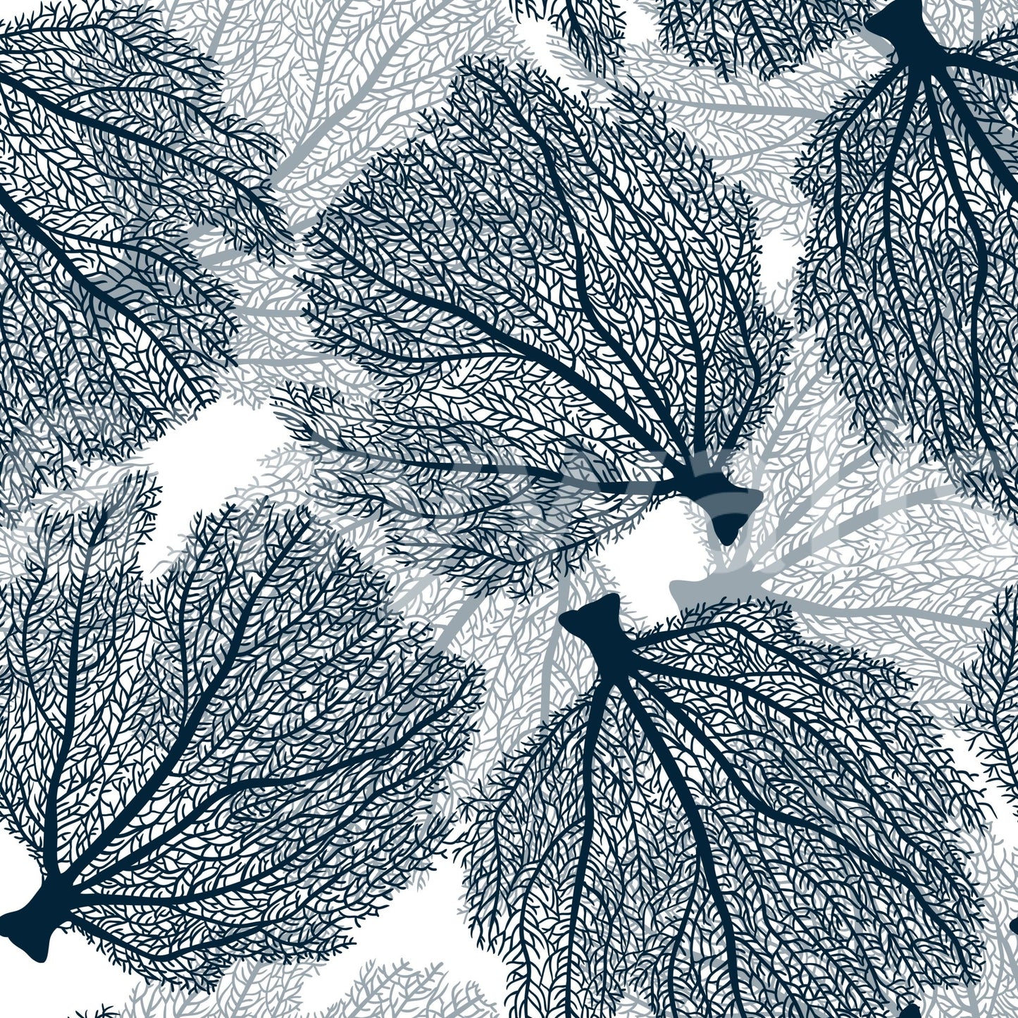 Elegant fan coral wallpaper design in navy and white hues.