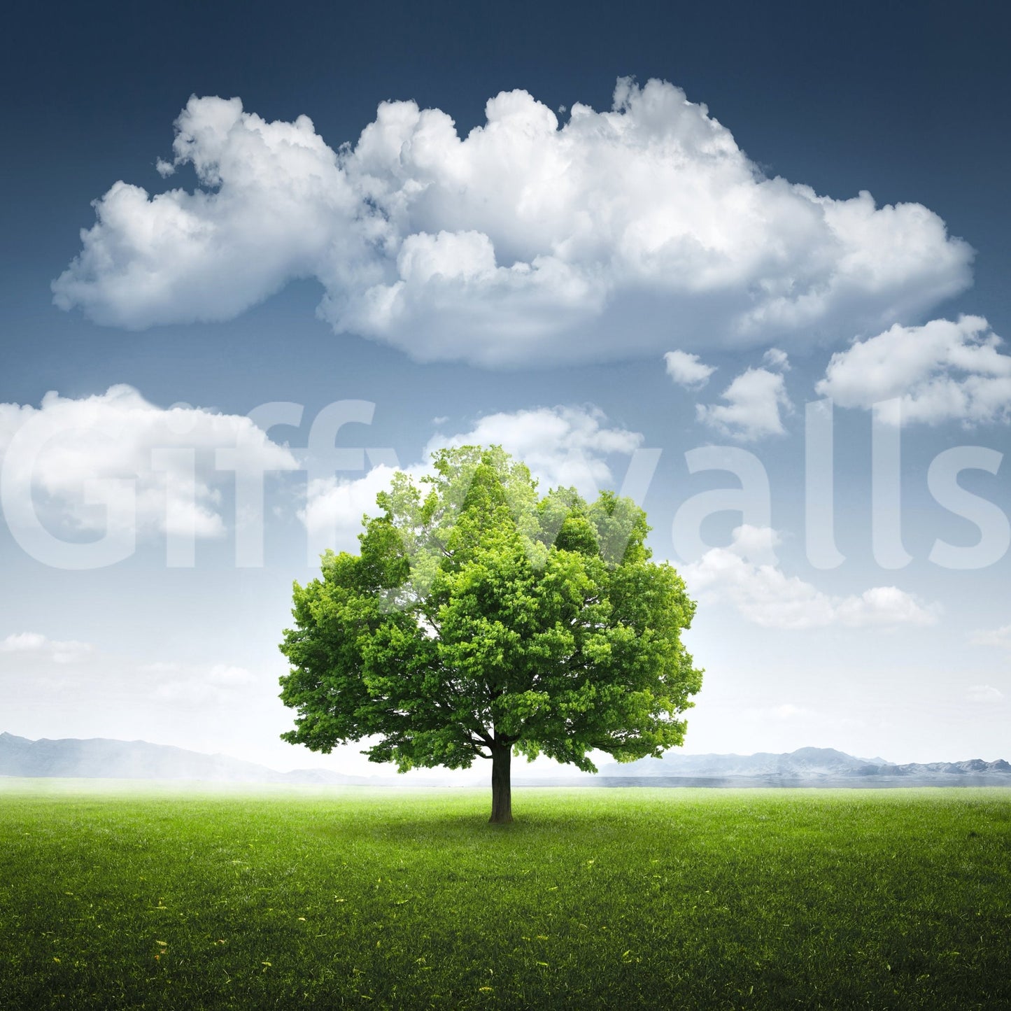 A tranquil abstract vista mural on the wallpaper., GD5760