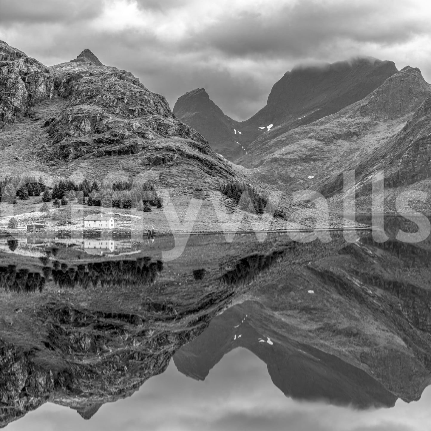 Fjord Beauty Wall Mural