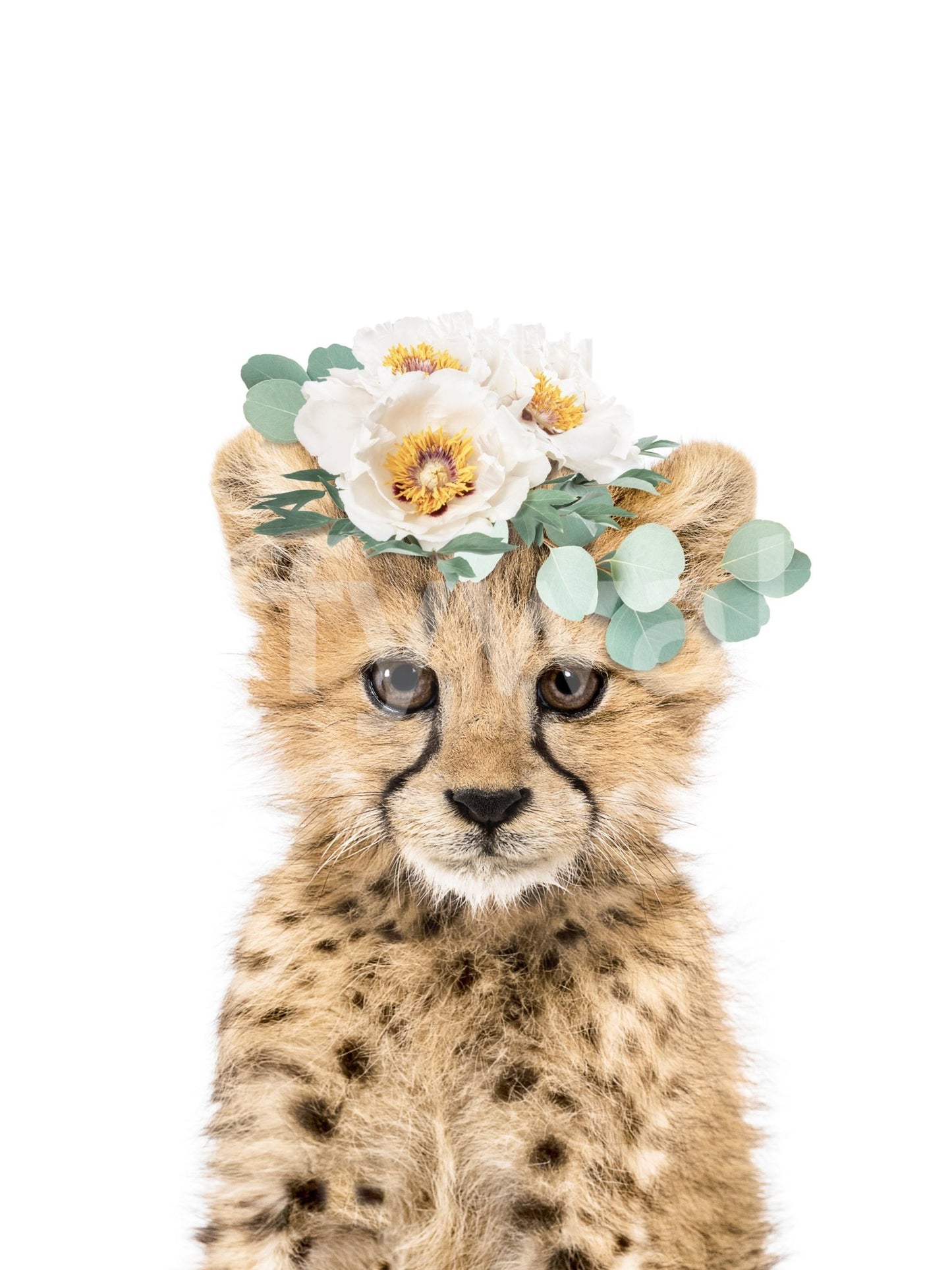 Floral Cheetah Cub Wall Mural