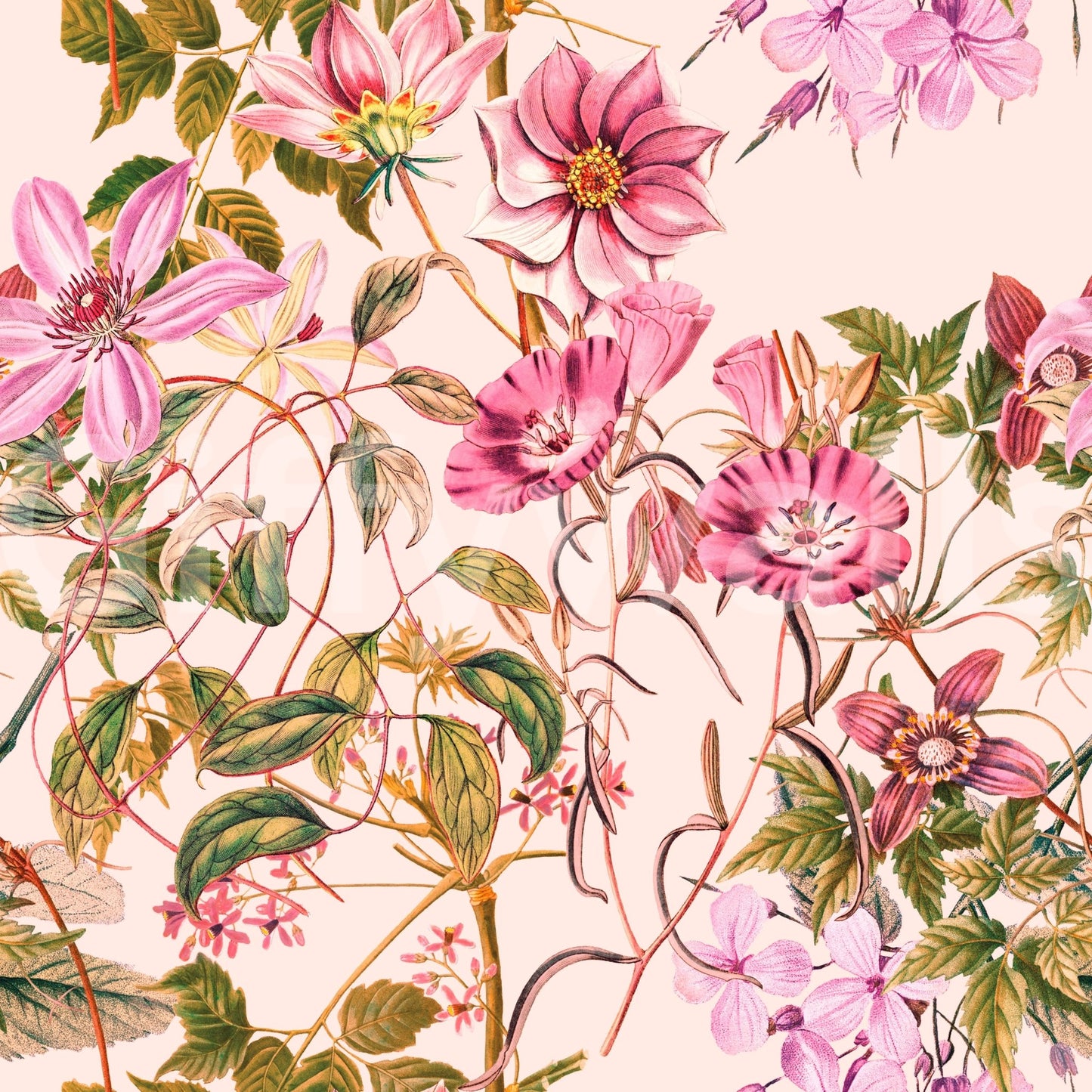 Light floral Floral Elegance wallpaper with delicate petals and green detail