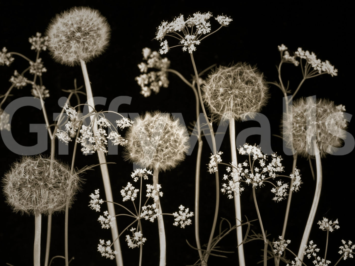 Elegant botanical wall covering.