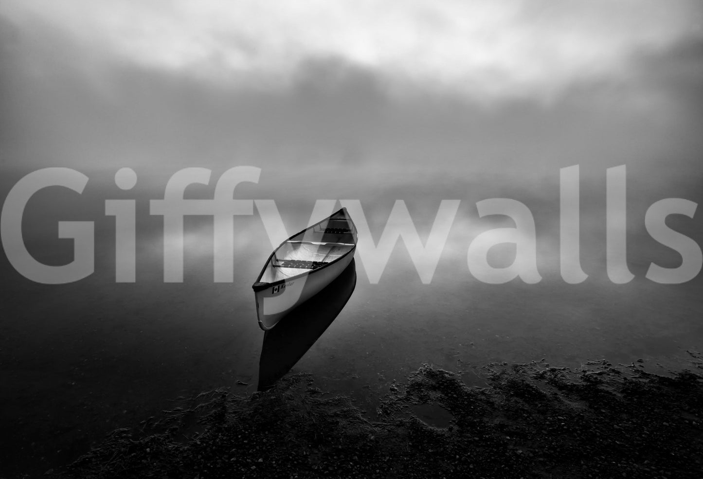 A calming underwater design wallpaper mural that defines a space.