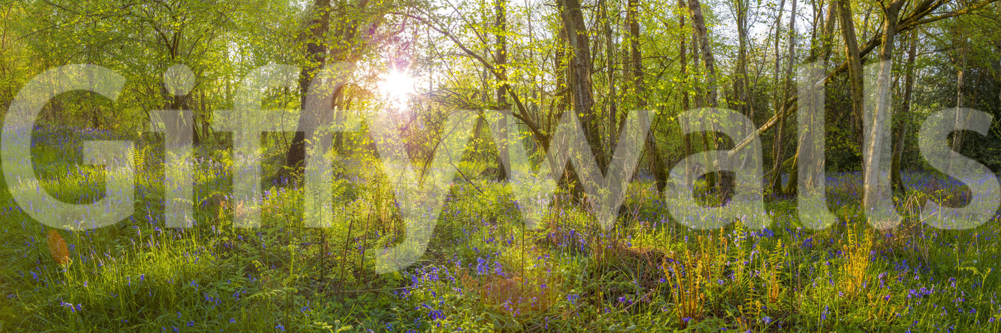 Forest Bloom Wall Mural