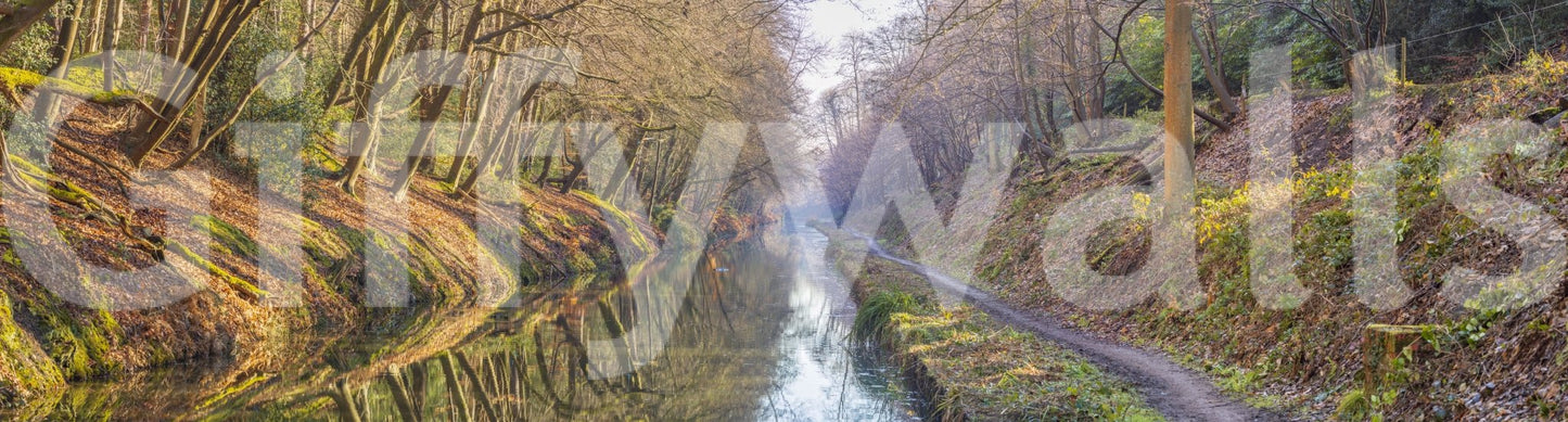 Forest Canal Escape Wall Mural