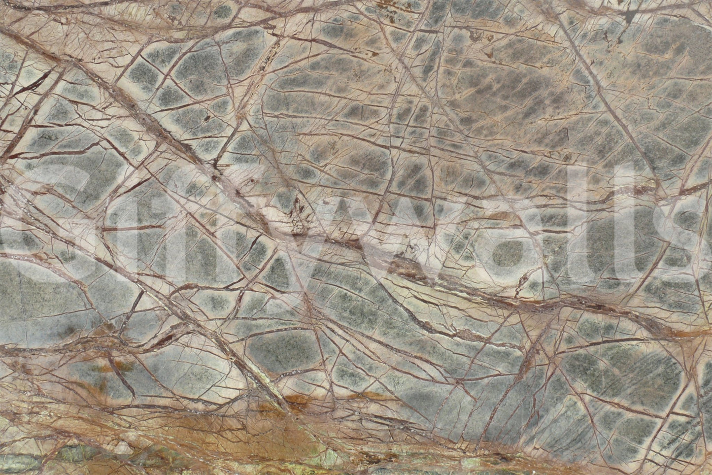 Forest Floor Marble Wall Mural -2579764