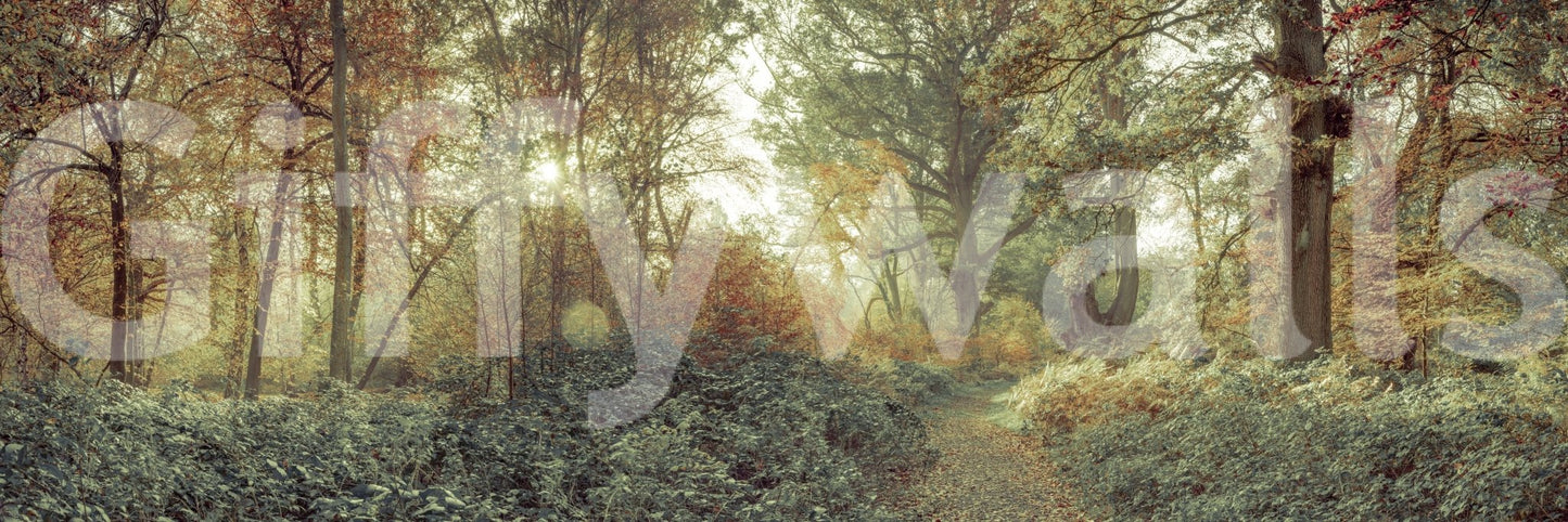 Forest Glow Wall Mural