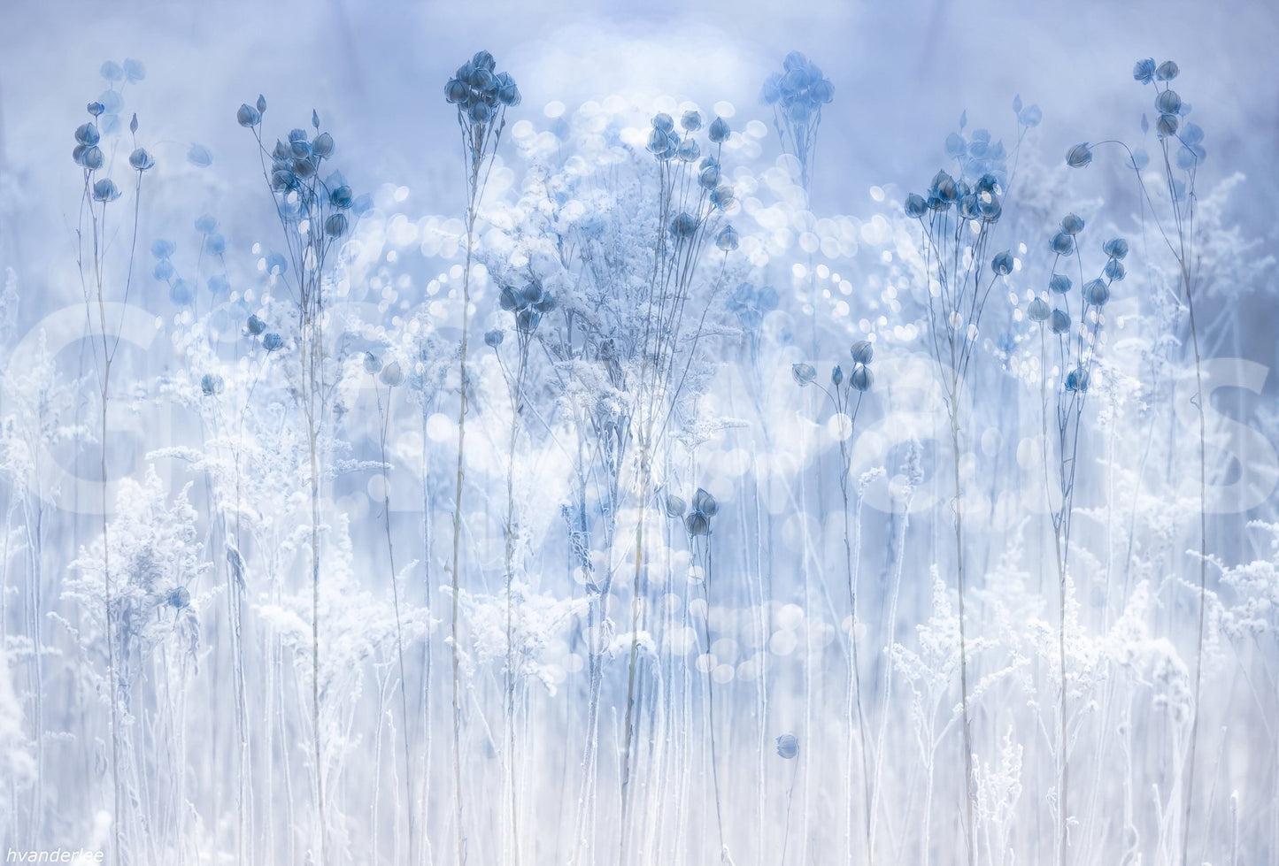 A high-quality abstract print wall mural for walls.