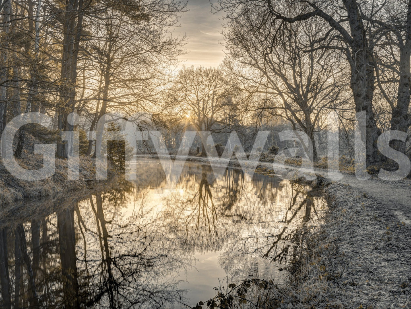 A detail of the warm tones in the scene.