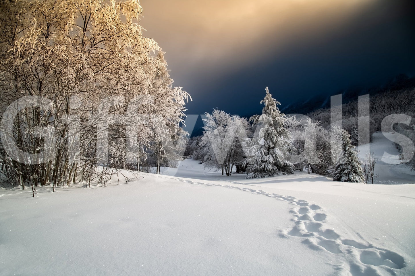 Frozen Footsteps Wall Mural