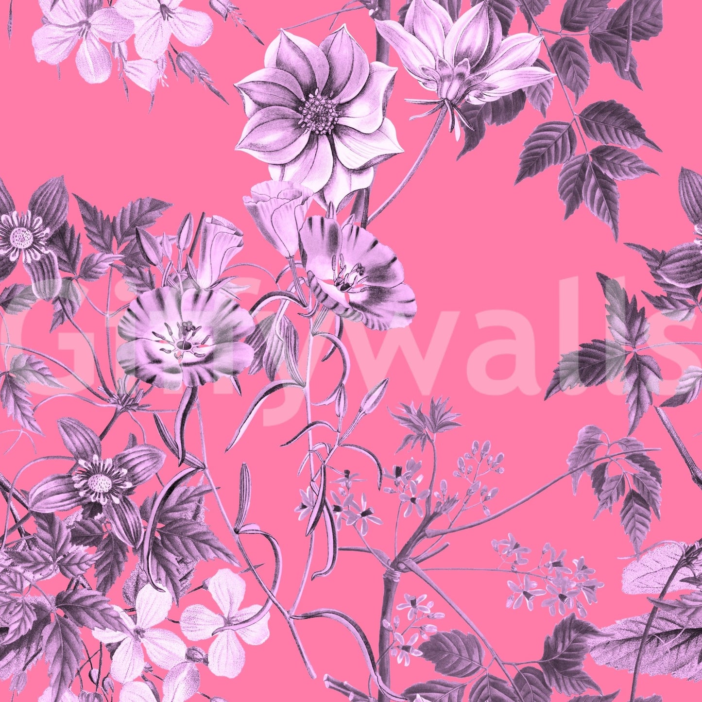 Fuchsia floral wallpaper with pale blossoms and layered botanical sketch detail