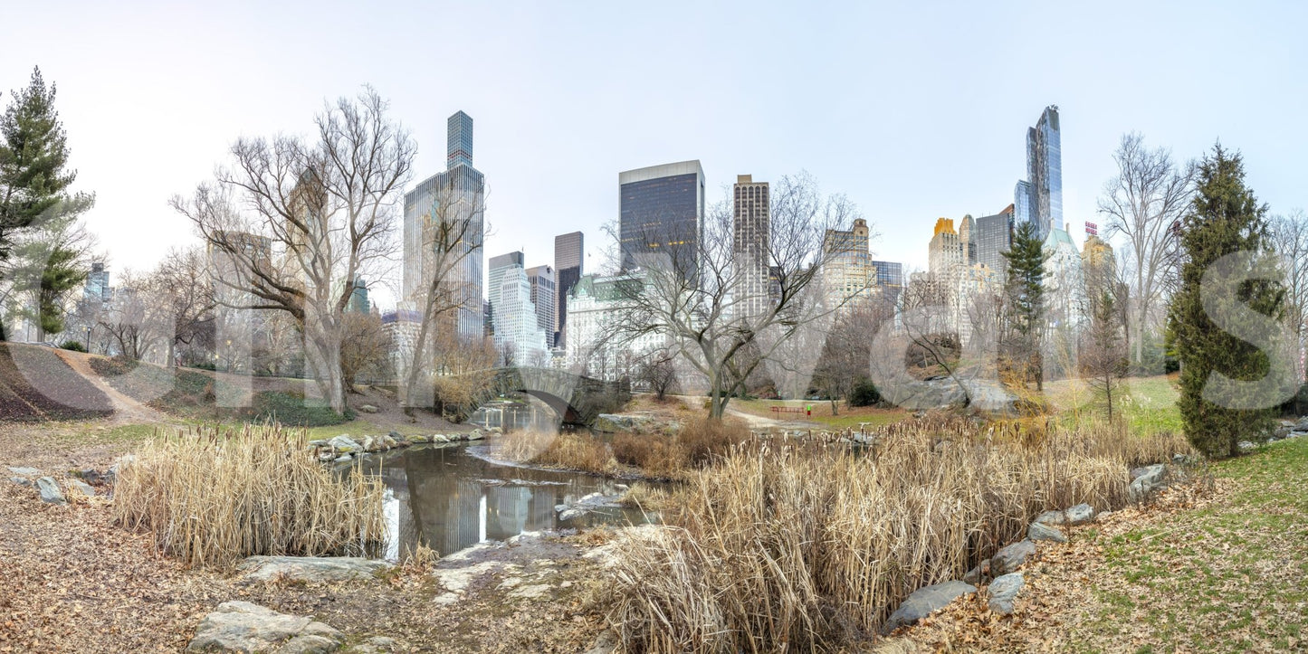 The scene feels peaceful and graceful.