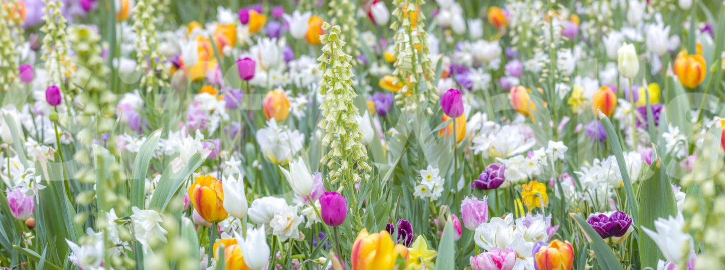 Minimal floral pattern wallpaper, GD2447