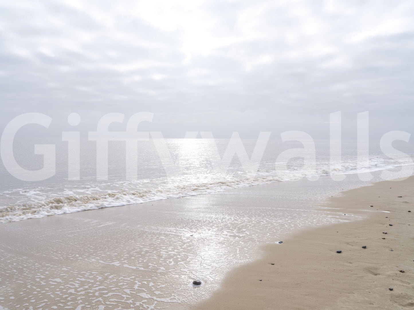 Gentle Waves Reflection Wall Mural