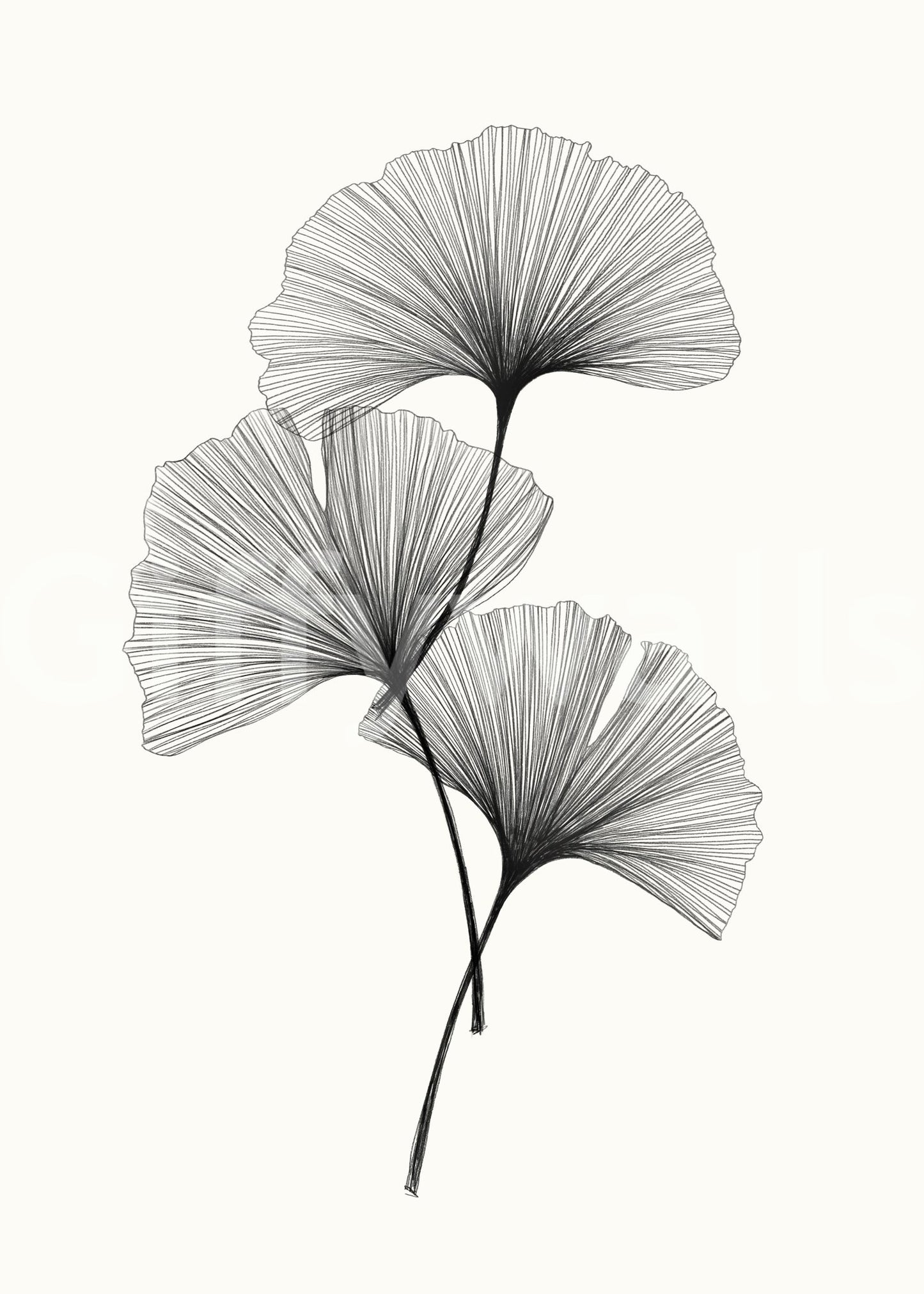 Ginkgo Line wall mural with delicate stems in a creative studio.