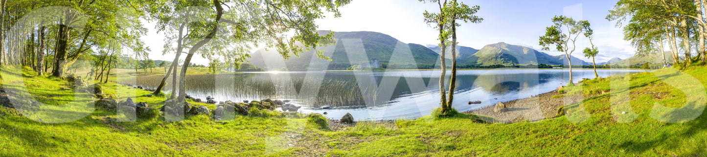 Glen Echoes Wall Mural