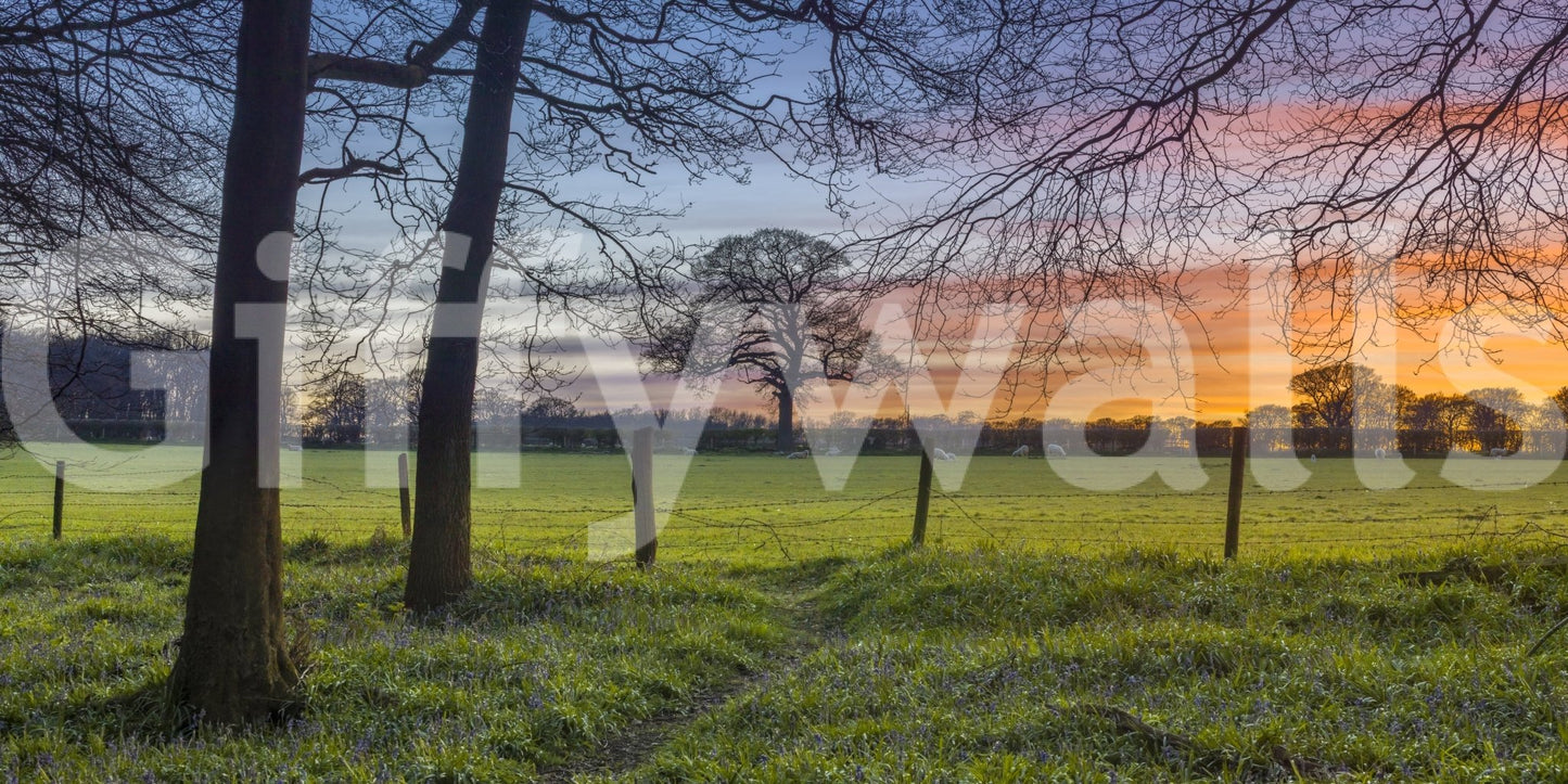 The image feels peaceful and restful.