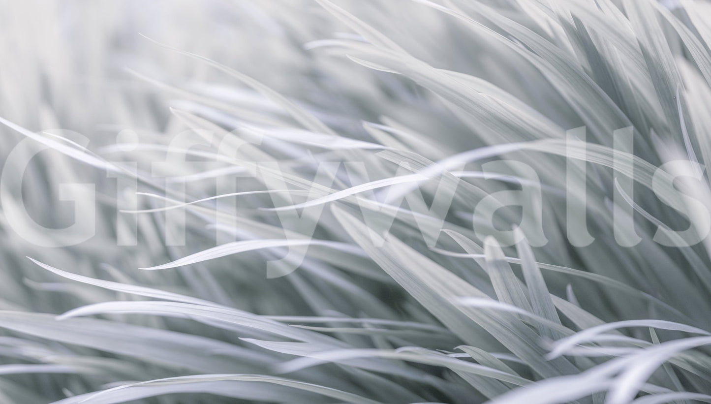 Wall decor evoking serenity and nature's calm.