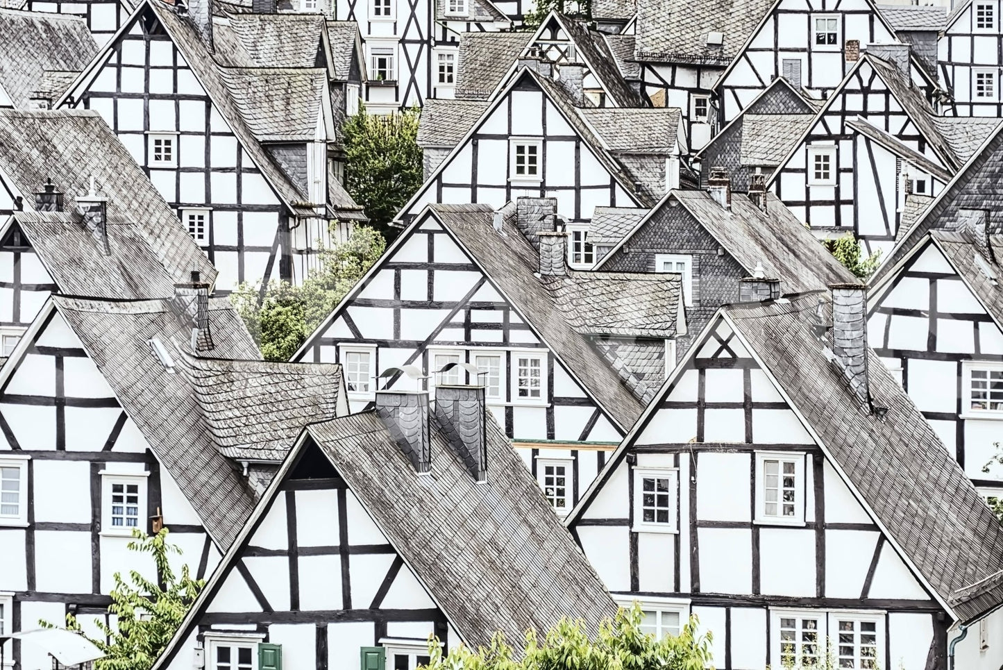 Half-Timbered Haven Wall Mural