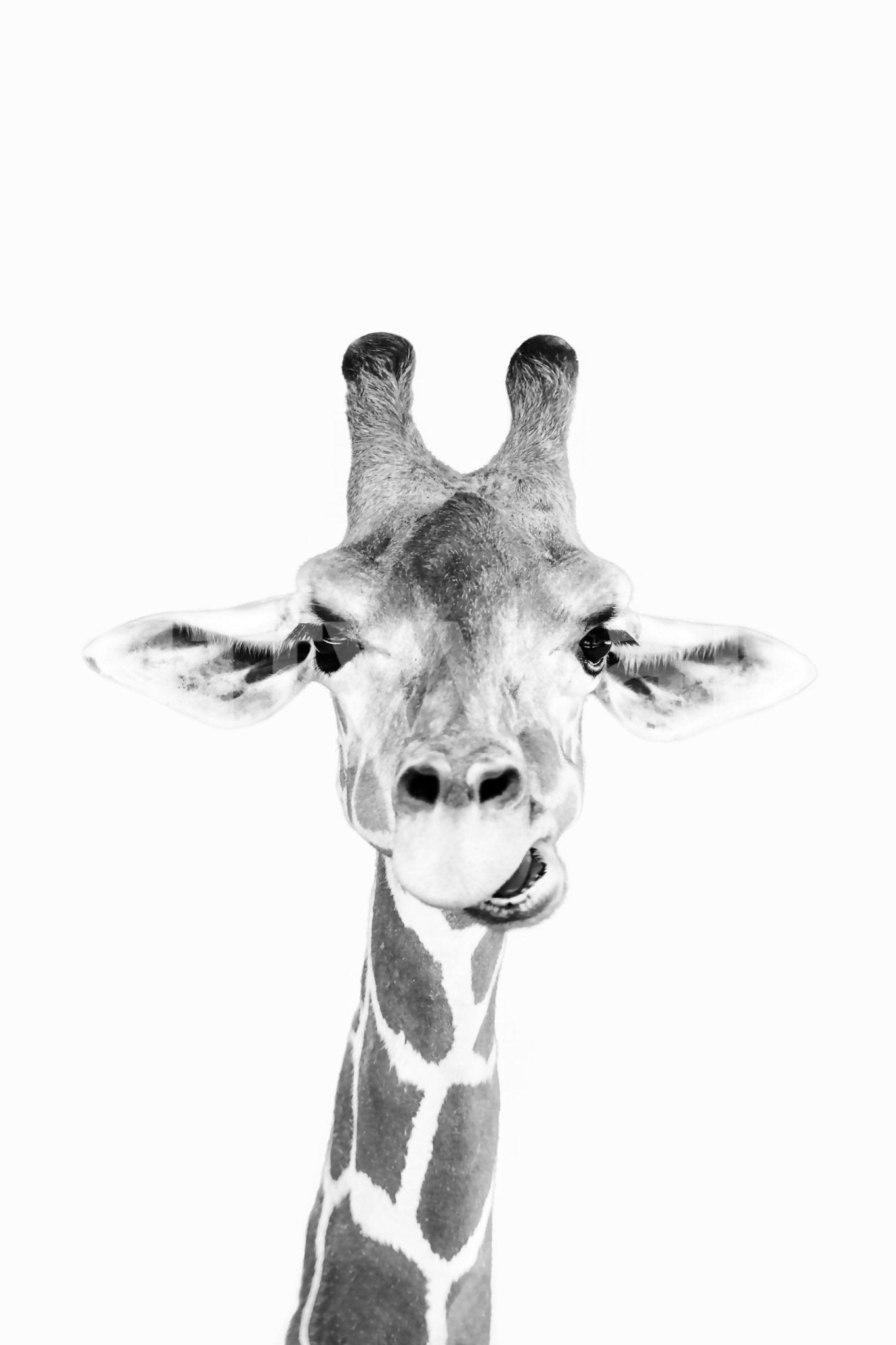 A harmonious statement piece for any home.