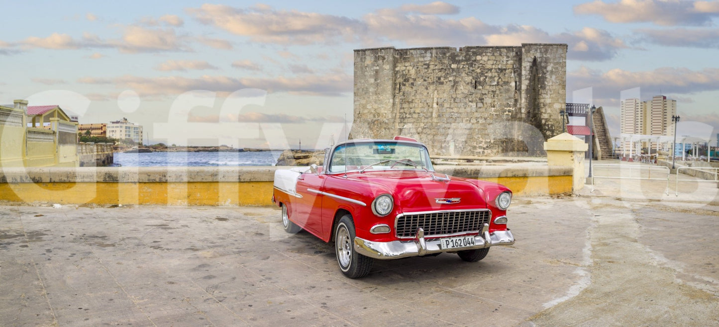 Scenic vehicle wall mural providing a cheerful and energetic interior feel.