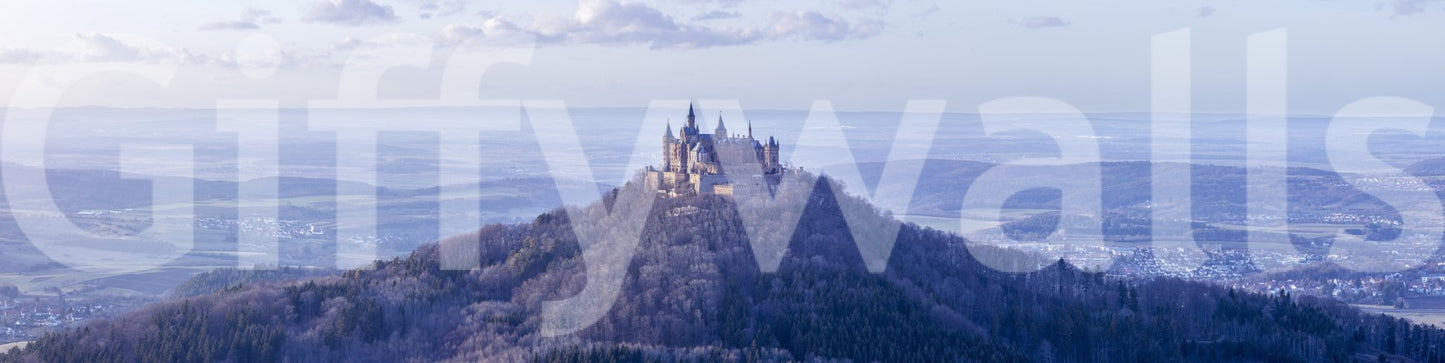 Hohenzollern Castle mural as the focal point of any room.