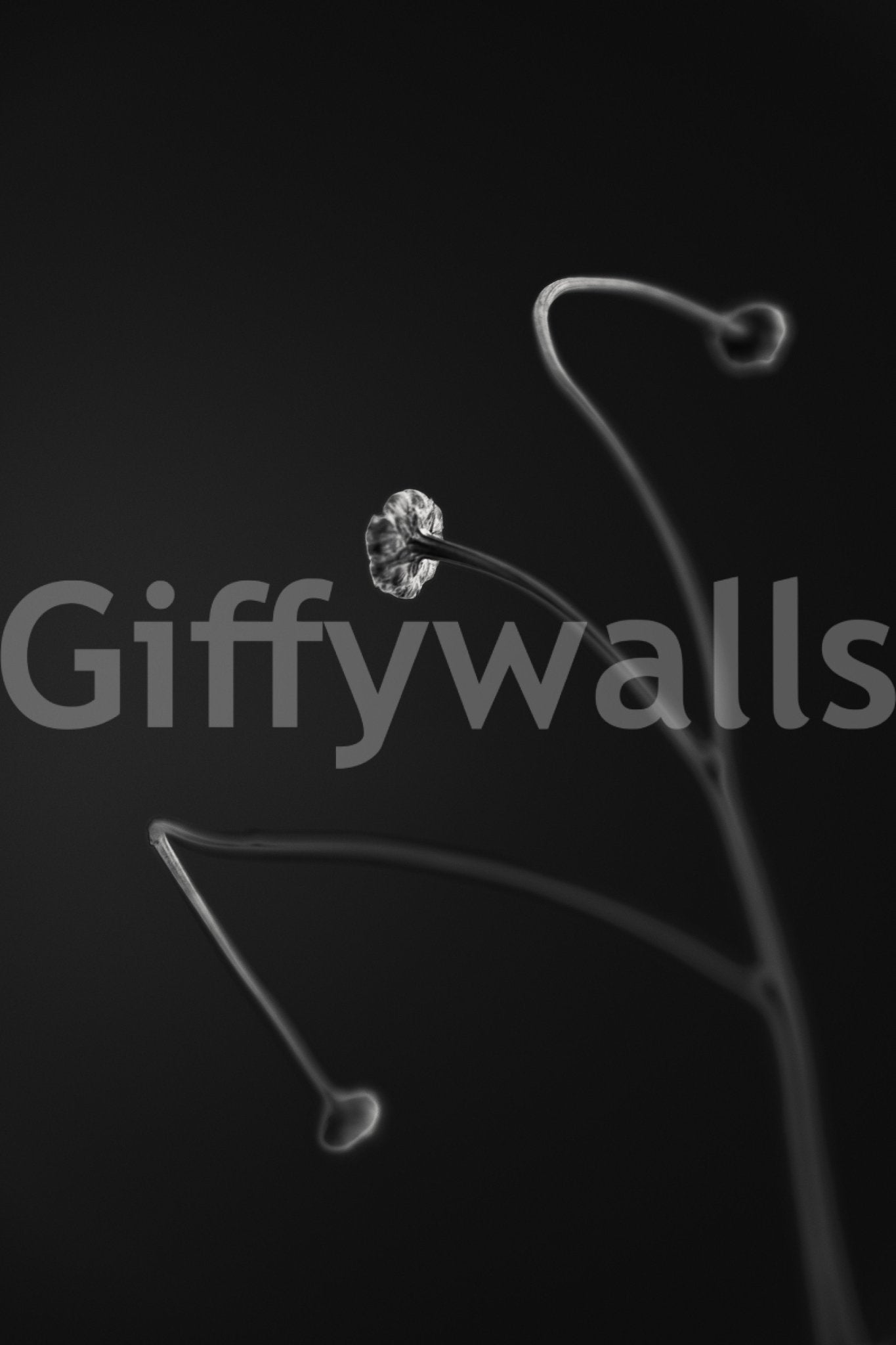 A detail of the brushstrokes and tones in the design.