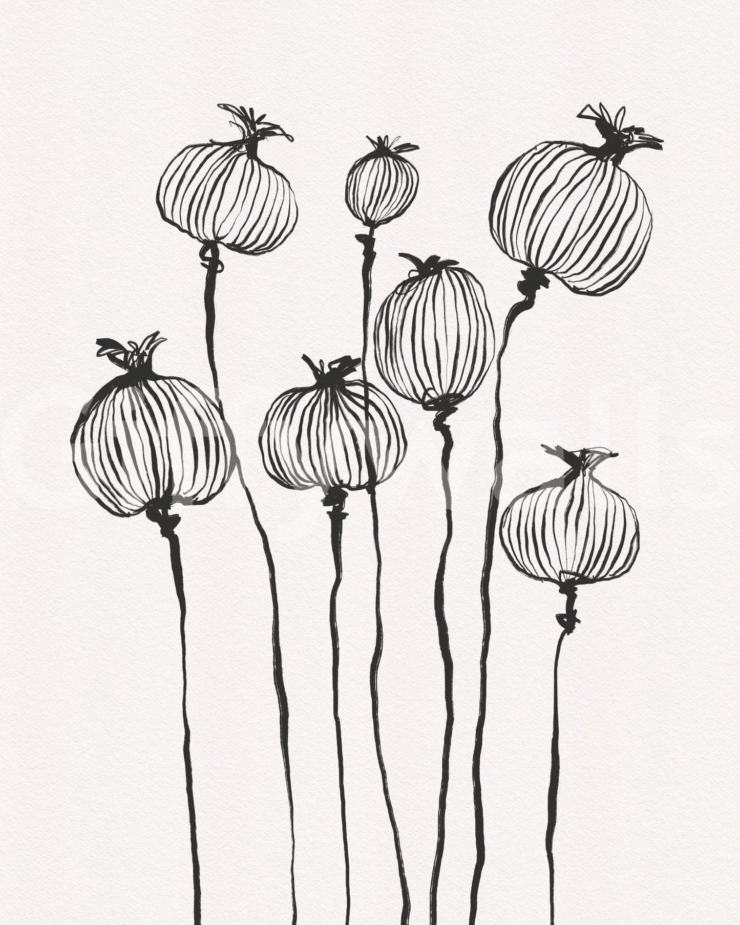 Ink Poppy Pods wall mural with tall black botanical linework on a soft neutral ground