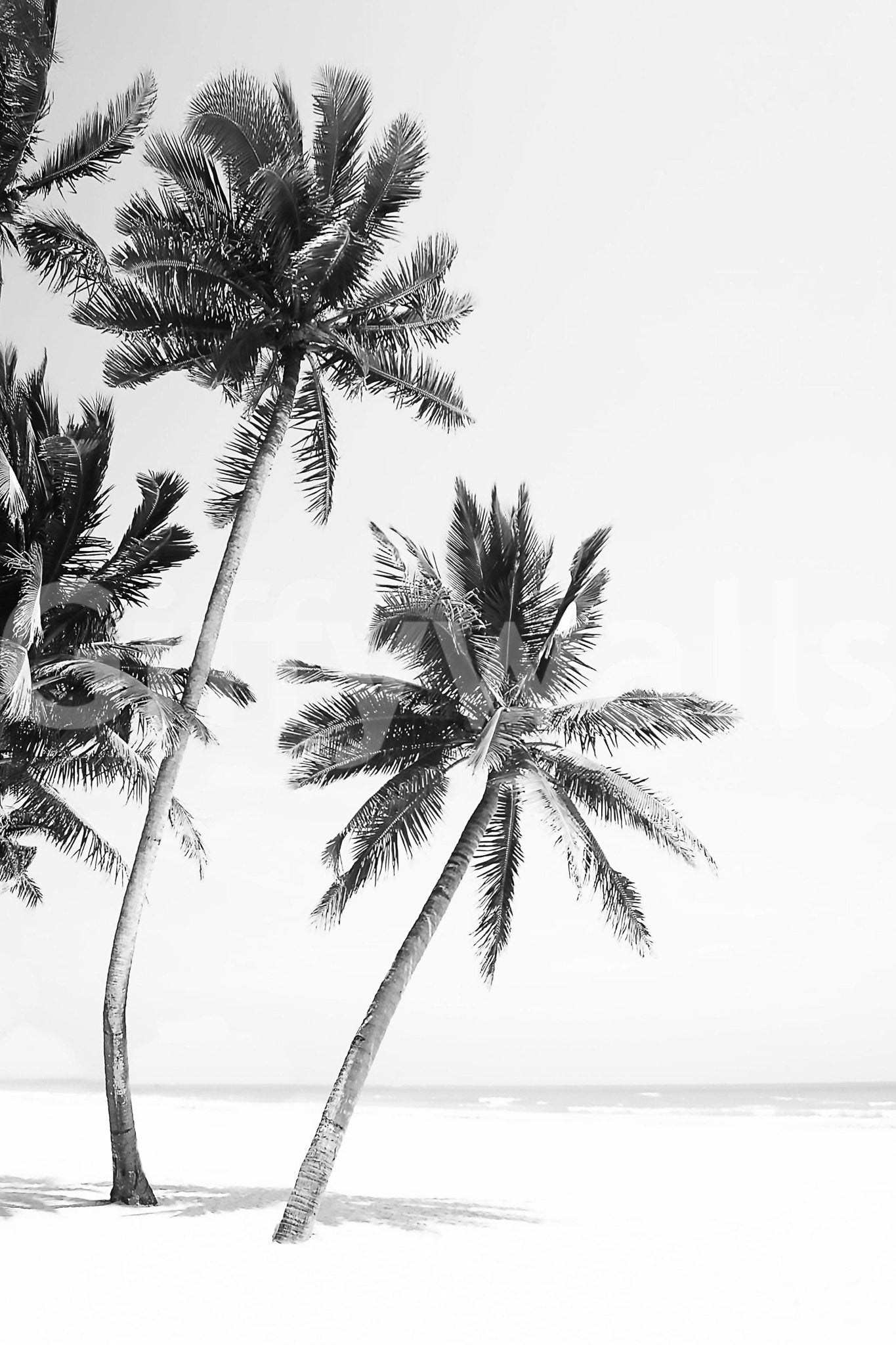 Calm island beach with palm trees