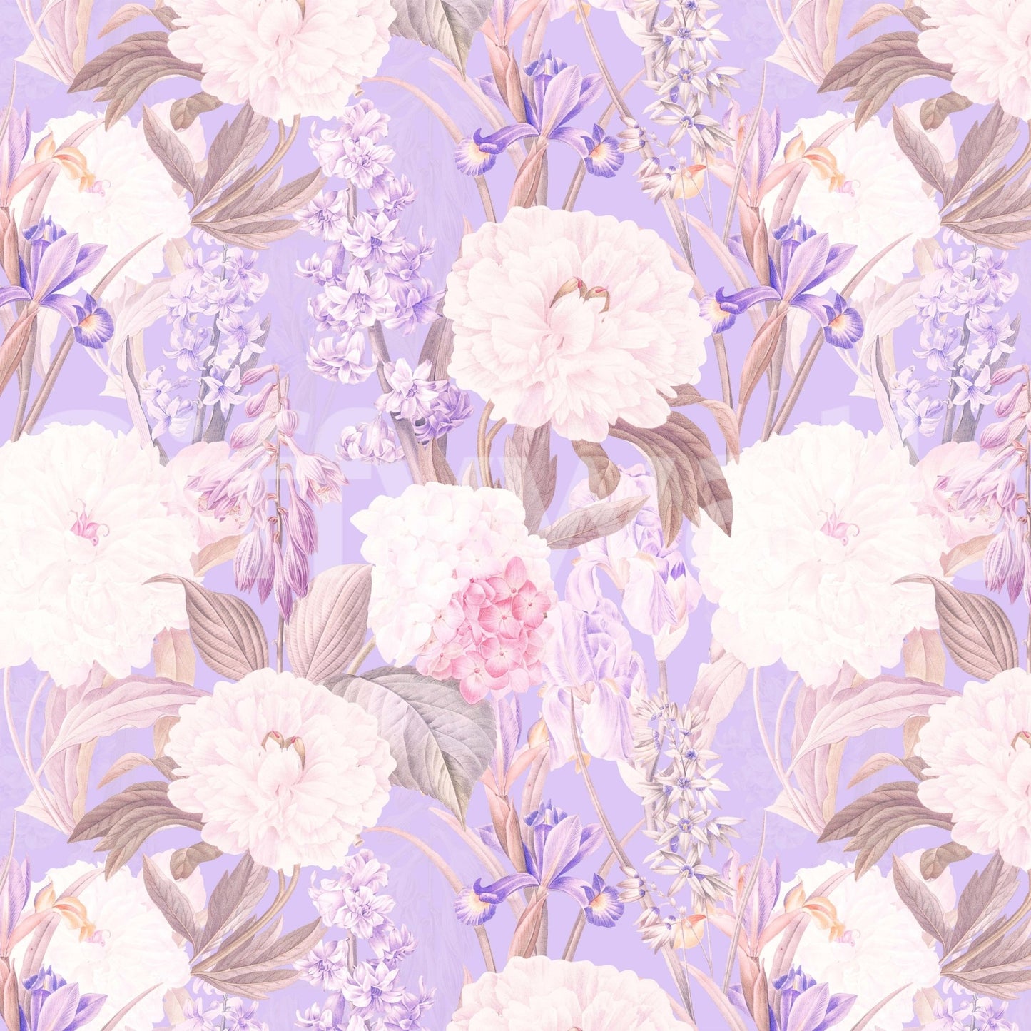 Botanical Ixia wallpaper design