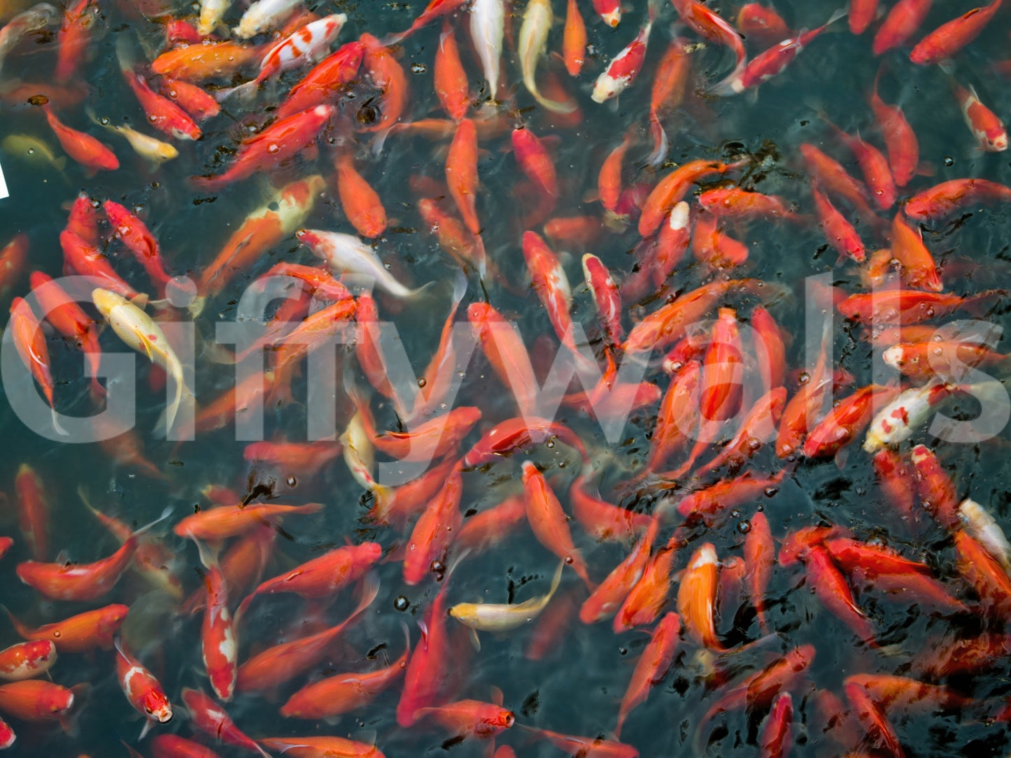 Serene and calming imagery