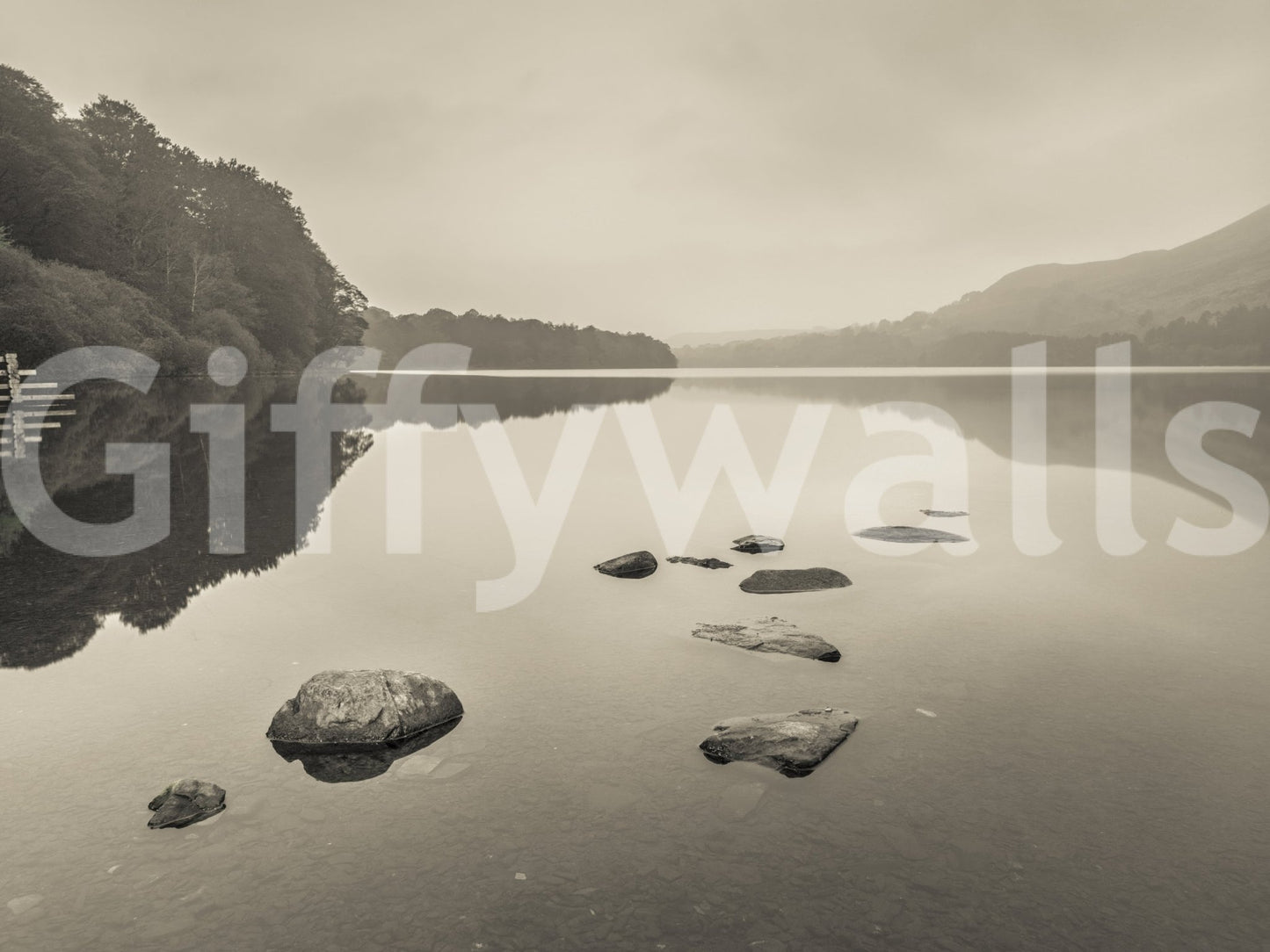 Lake Calmness mural with neutral tones and mirror-like water, GD8767