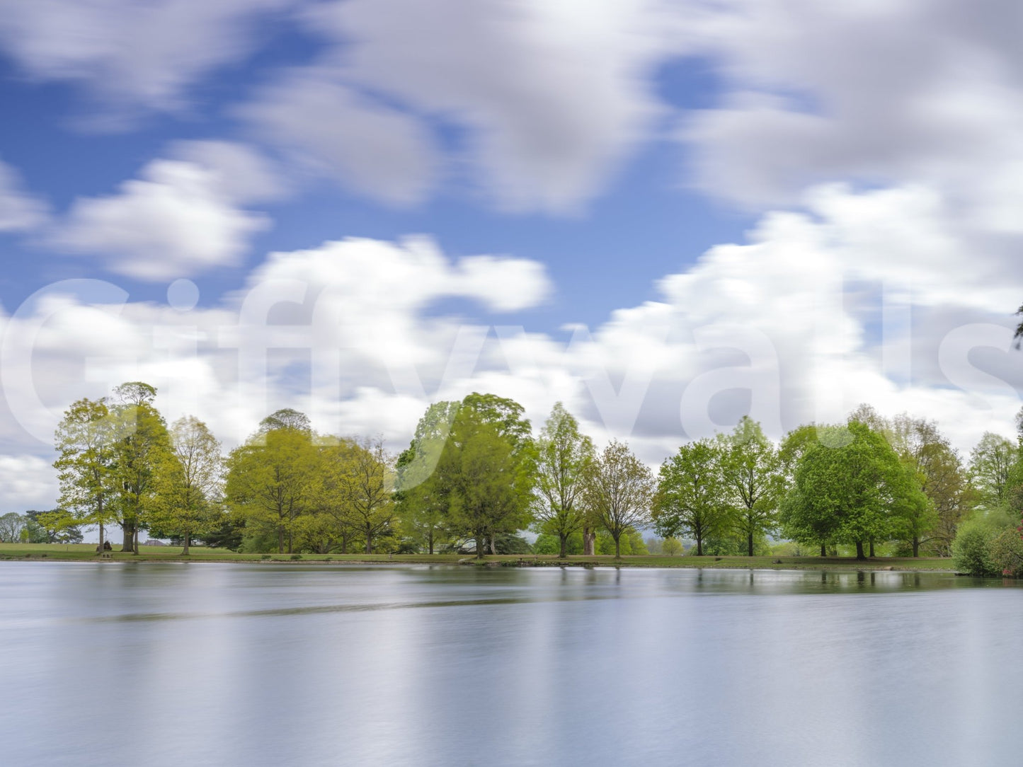 Lake Guardian Wall Mural